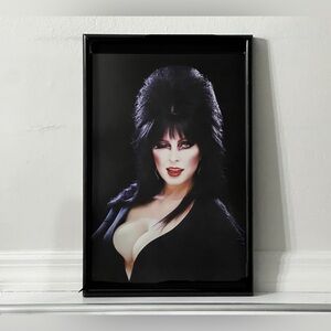 Elvira Mistress Of The Dark Poster